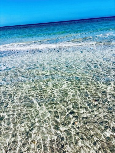 The Monterey offers this view in 45 sec POOL being renovated until end of April