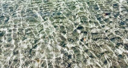 The Monterey offers this view in 45 sec POOL being renovated until end of April