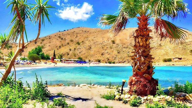 Una playa con agua azul cristalina, palmeras y una orilla arenosa.