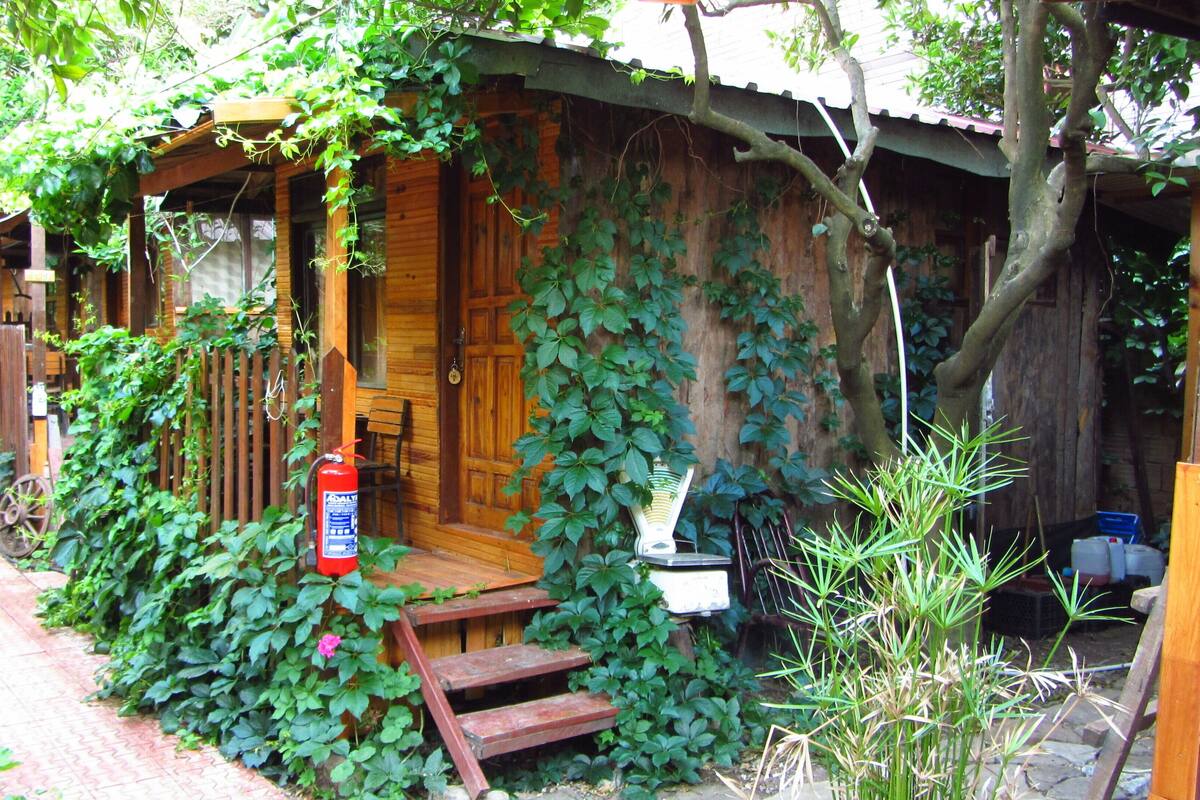 Basic Double Room | Terrace/patio