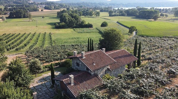Una casa de piedra con techo de tejas, rodeada de viñedos y campos.