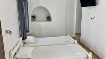 Una habitación pequeña y blanca con dos camas, un televisor montado en la pared, un estante con plantas y un rincón de ducha.