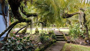 Un giardino tropicale con un vialetto in pietra che conduce a una zona relax.