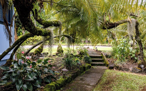 Property grounds - Live a Piece of History at My Hilo Home (Hilo)