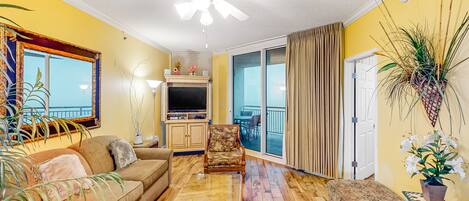 TV, DVD player, video library