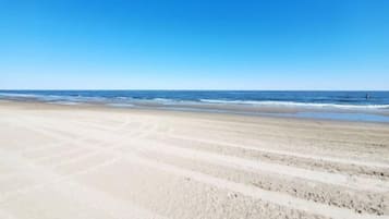 On the beach