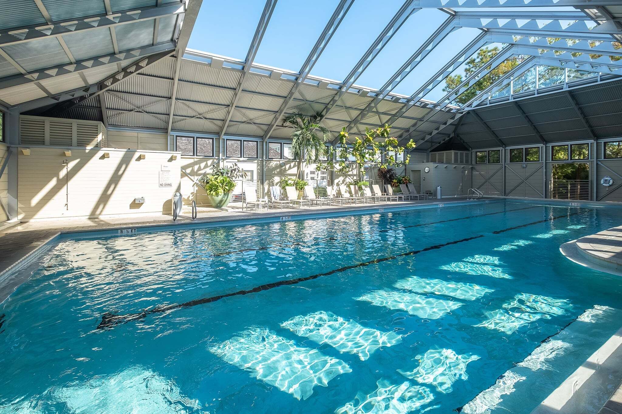Una piscina interior con agua cristalina, techo cubierto y plantas en macetas.