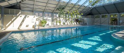 Una piscina interior con agua cristalina, techo cubierto y plantas en macetas.
