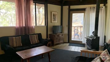 TV, DVD player, books, video library