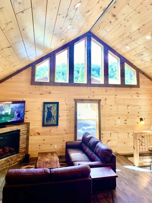 Televisio, takka, videopelejä