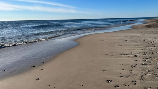 Platja amb sorra i empremtes.