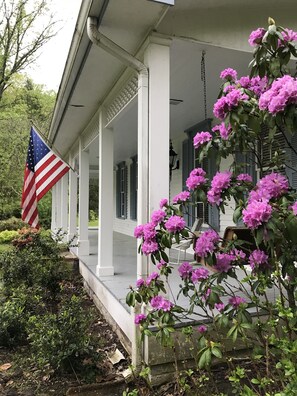 Overnattingsstedets uteområder