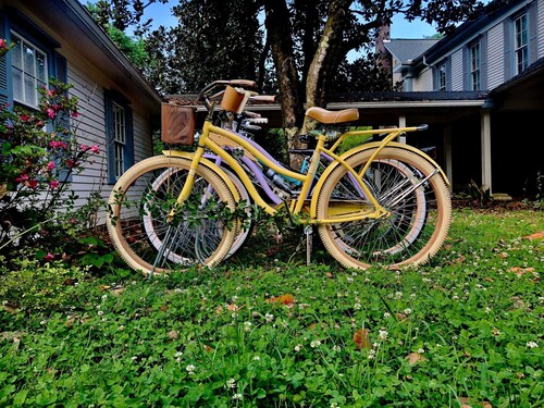 Historic 1884 Bed &amp; Breakfast Queen Rm-Pvt Bath down hall-near Dollywood