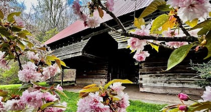 Historic 1884 Bed & Breakfast EnSuite Near Dollywood! Sleeps 3 & Pvt bath shower