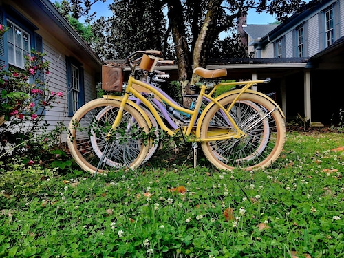 Historic 1884 Bed &amp; Breakfast EnSuite Near Dollywood!