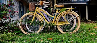 Historic 1884 Bed & Breakfast EnSuite Near Dollywood!