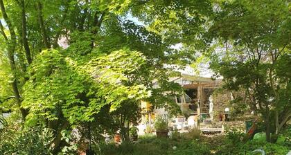 Ferienwohnung Quaisser mit Terrasse, Balkon, Pool und Sauna