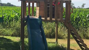 Una casita de juegos de madera con techo verde y un tobogán, rodeada por un campo de maíz.