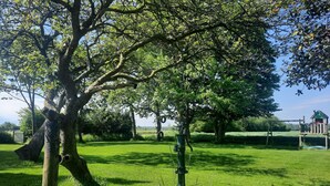 Un árbol en una zona con césped y una estructura de juegos al fondo.