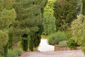 المنطقة المحيطة بالمنشأة