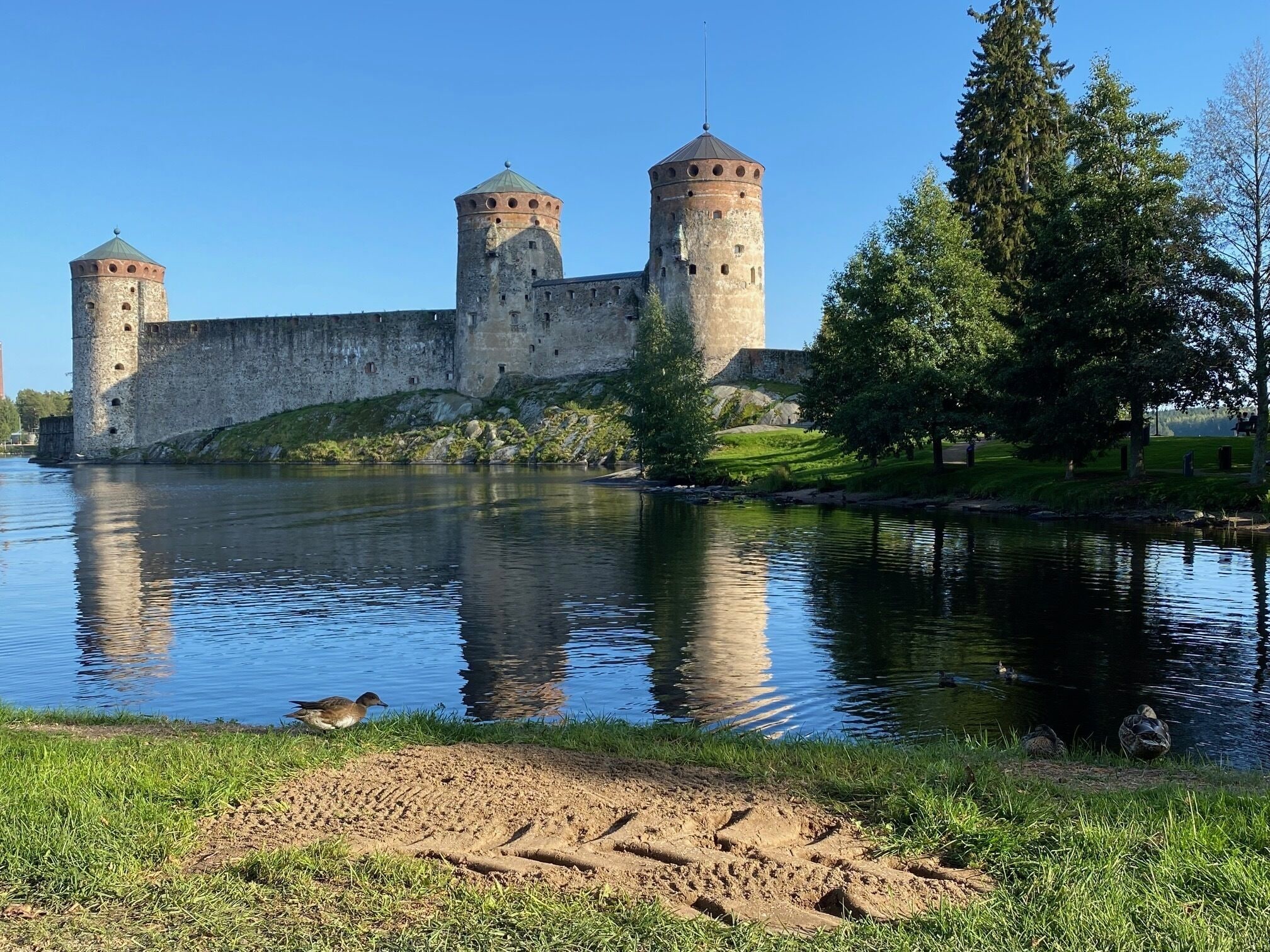 Un castello storico con due torri imponenti, un fossato e un'area erbosa con anatre.