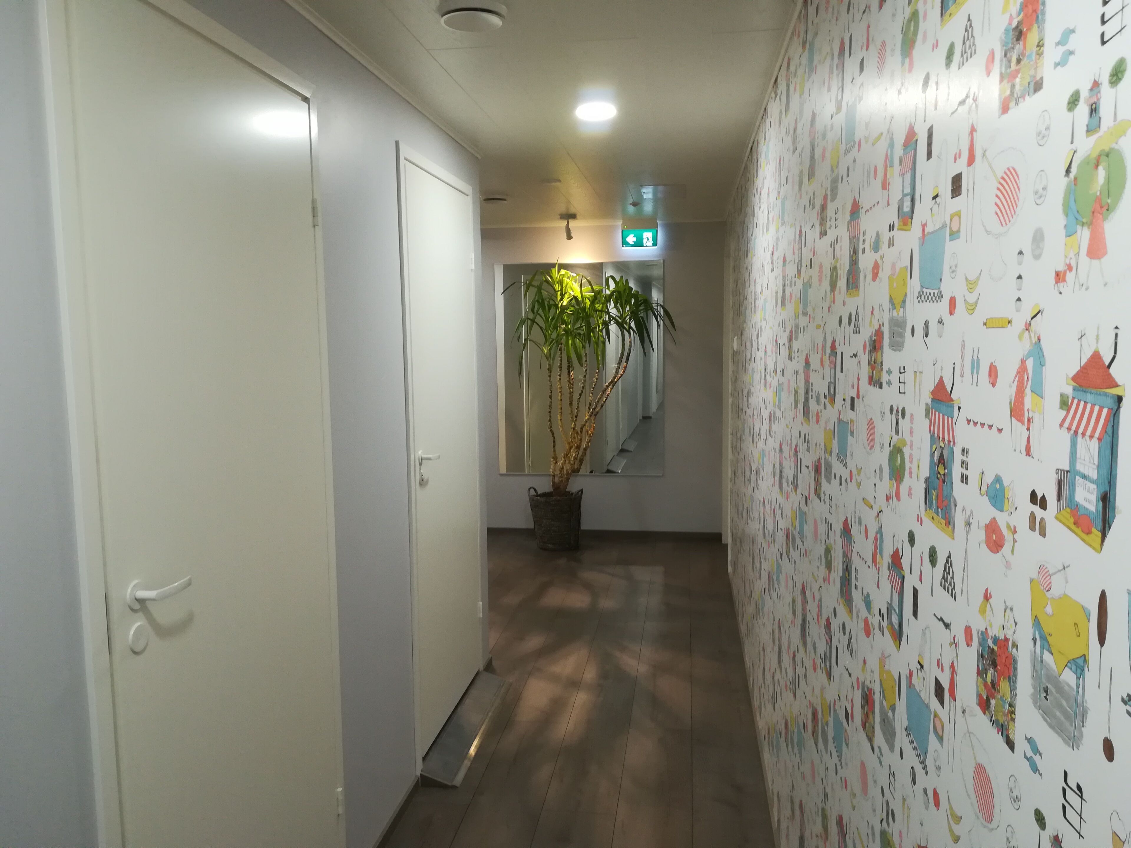 A hallway with a white door, a potted plant, and a wall with colorful illustrations.