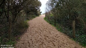 Un sentier sablonneux bordé d’une végétation dense et d’une clôture en fil de fer, qui mène à une zone boisée.