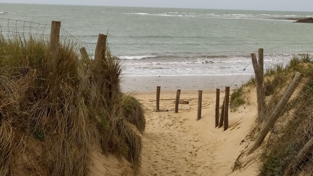 Un sentier de sable qui longe la plage et mène à l’océan, bordé de poteaux en bois et d’une clôture en fil de fer.