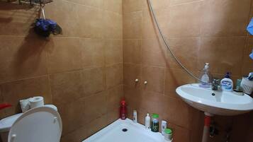 Shower, soap, shampoo, toilet paper