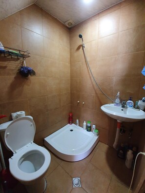Shower, soap, shampoo, toilet paper