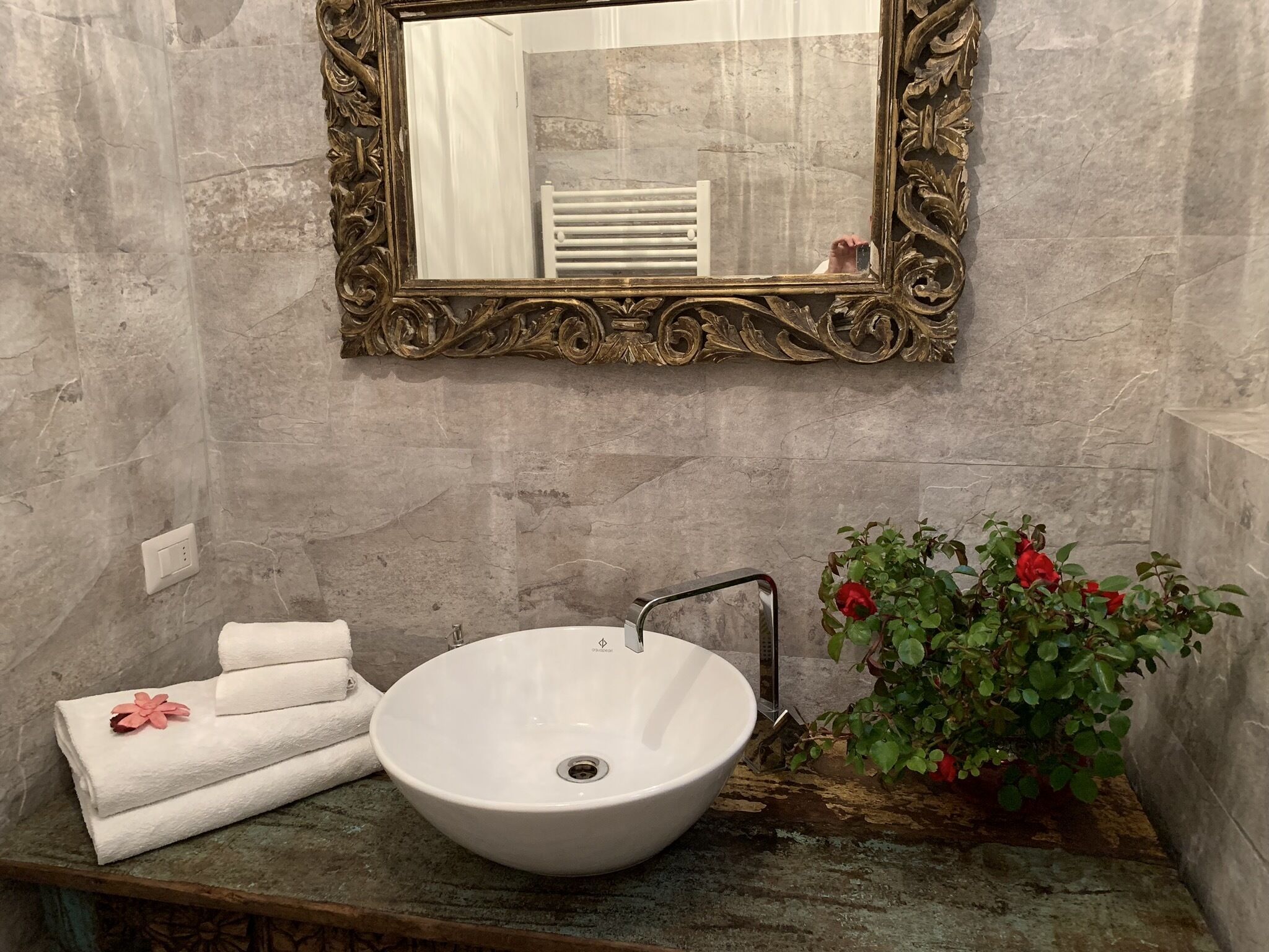 Une salle de bain avec un lavabo blanc, un miroir doté d’un cadre orné et une plante en pot aux fleurs rouges.