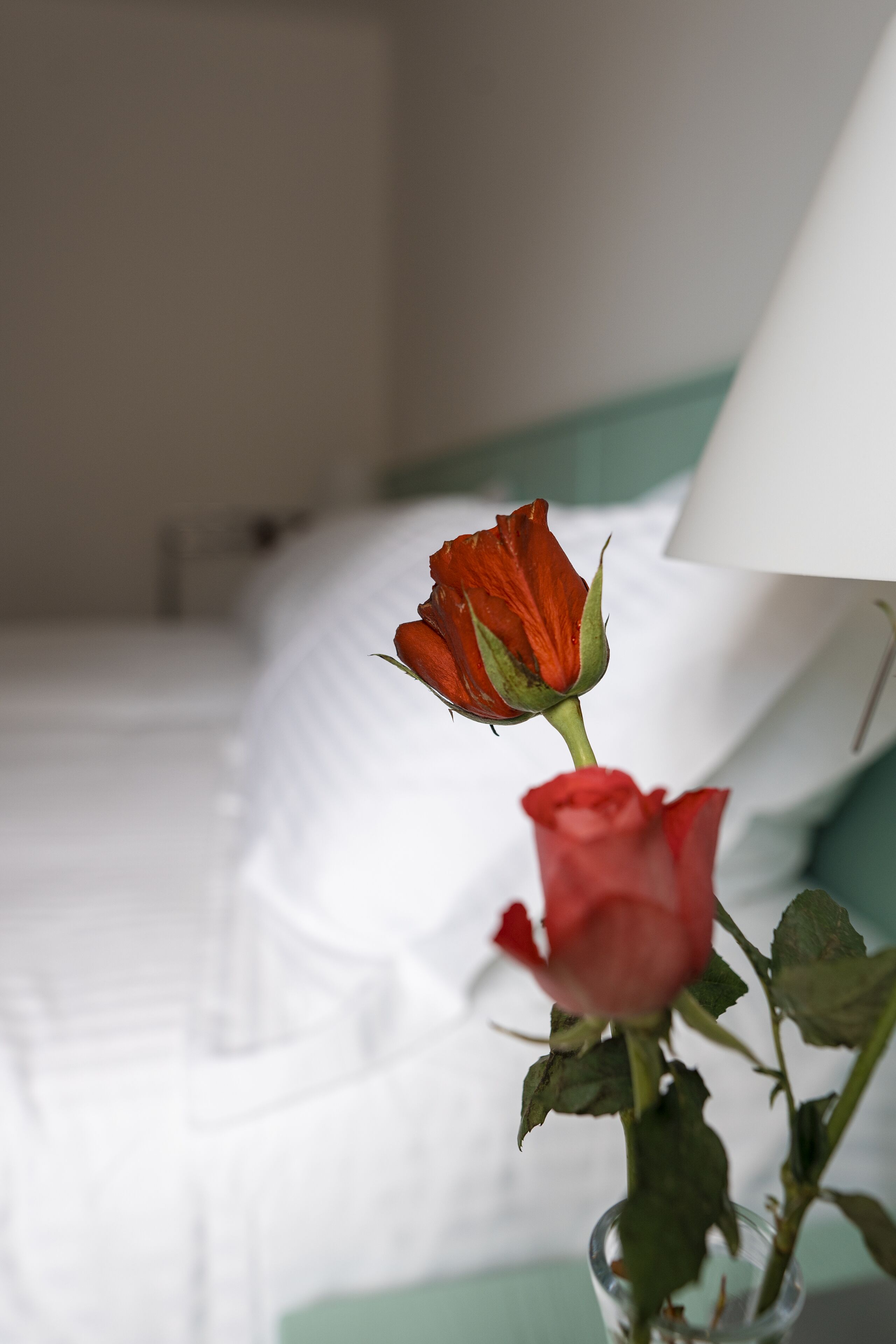 A bed with white bedding and a green accent pillow.