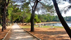 Property grounds - Apartments Maela, (16150), Rovinj, hr (Rovinj)