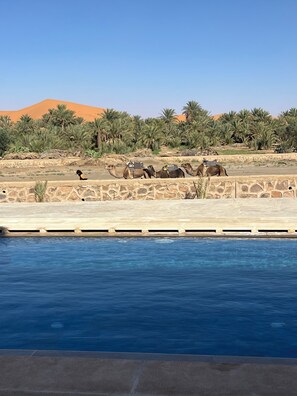Indoor pool, outdoor pool - Riad Les Jardins De Merzouga (Taouz)