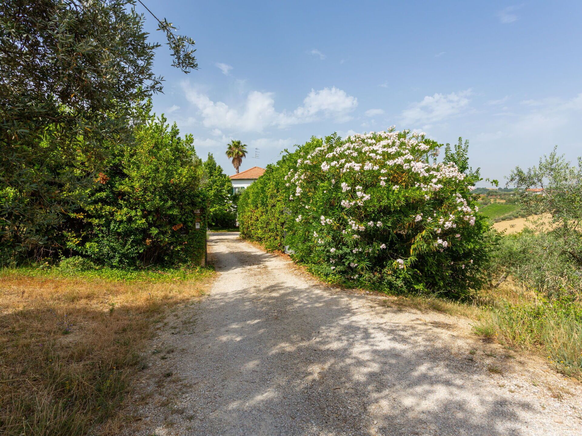 Parco della struttura