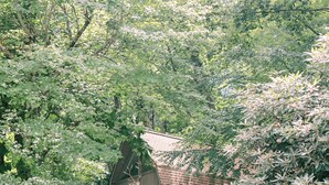 A rustic cabin with a sloped roof, surrounded by dense foliage and a gravel path leading to the entrance. - Live-in Art Gallery in Downtown Highlands / Walk to Main Street / Mountain Views (Highlands)