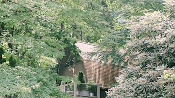 Ulkopuoli