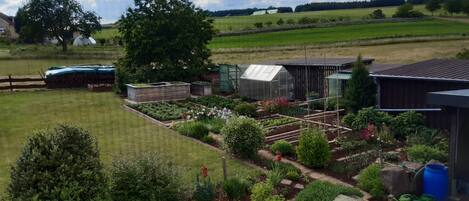 المنطقة المحيطة بالمنشأة