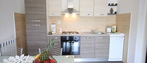 Fridge, oven, stovetop, dishwasher