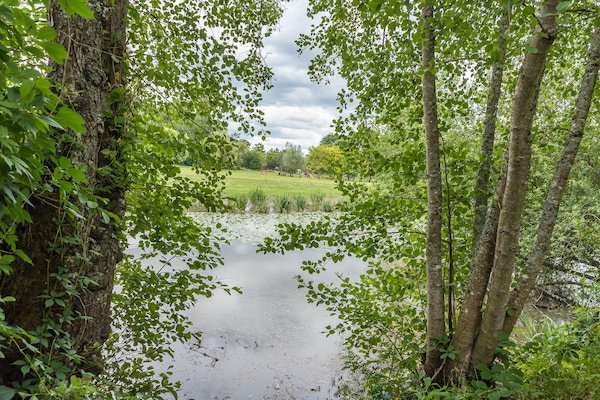 -(Bord de l'Indre au fond du ja rdin