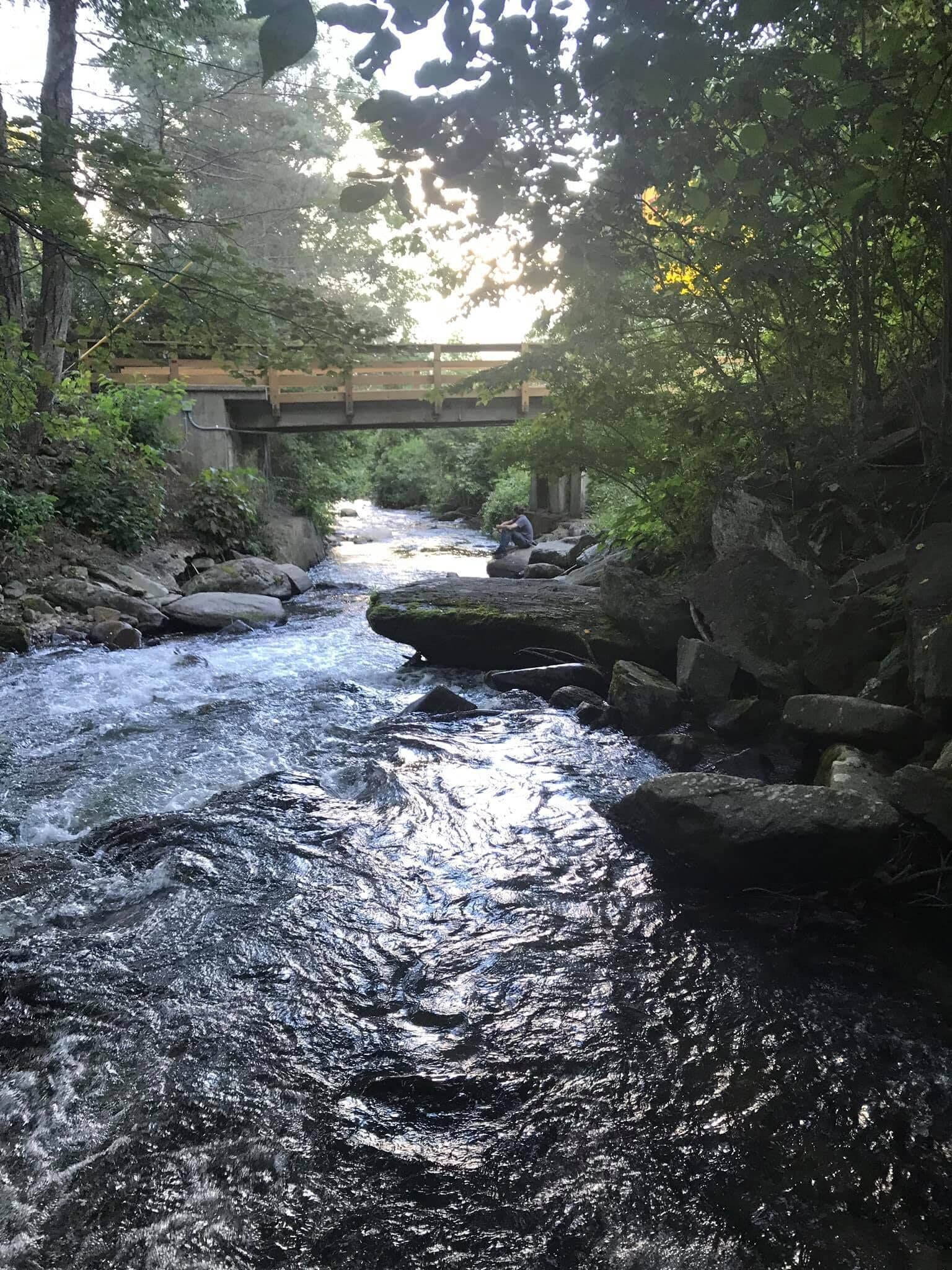 Un río serpenteando por una zona boscosa, con un puente al fondo.