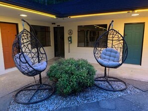 Two hanging chairs with cushions, a small bush, and a door in the background.