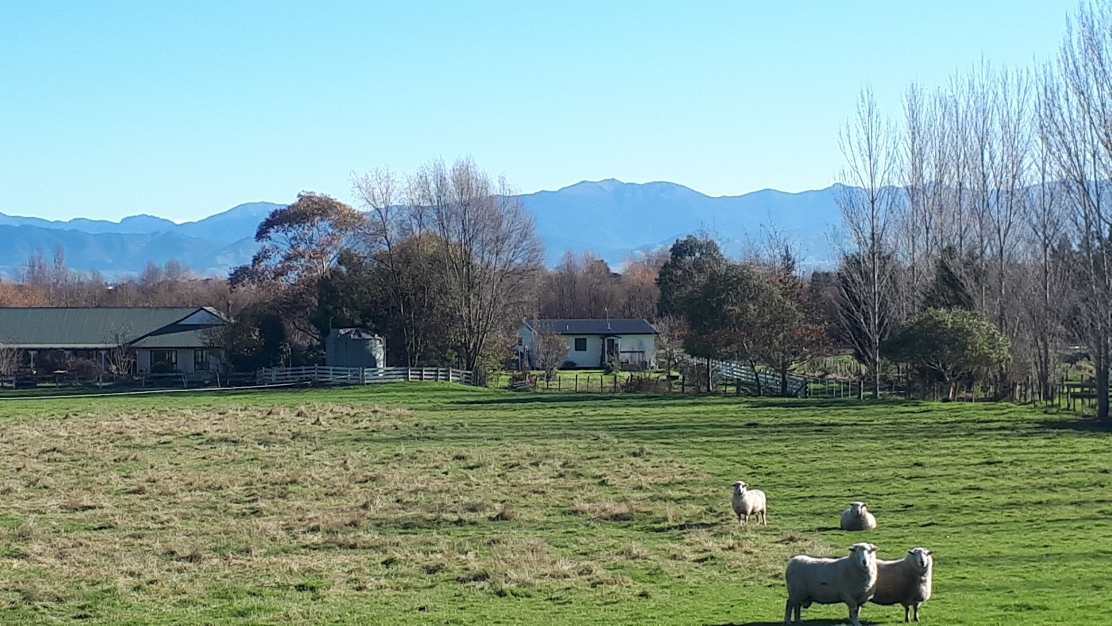 Ländliche Landschaft mit einer Wiese, vereinzelten Schafen, einem Bauernhof und einem Bergmassiv im Hintergrund.