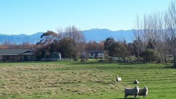 Ländliche Landschaft mit einer Wiese, vereinzelten Schafen, einem Bauernhof und einem Bergmassiv im Hintergrund.