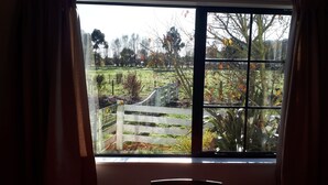 A view through a window with a white fence and trees in the background.