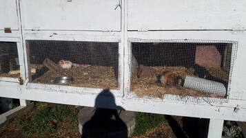Een witte houten constructie met verschillende draadmanden, mogelijk voor dieren.