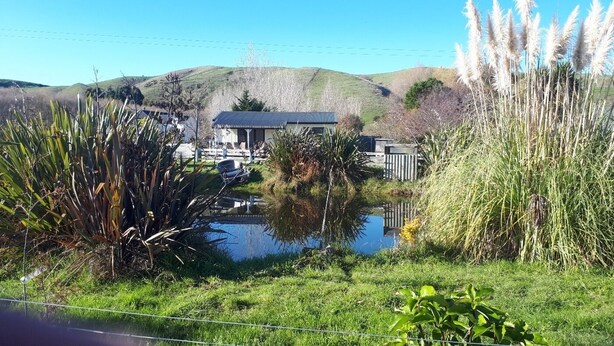 A rural setting with a house, a pond, and surrounding vegetation.