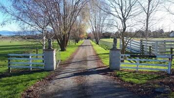 A rural pathway leading to a gated entrance with a statue on each side.