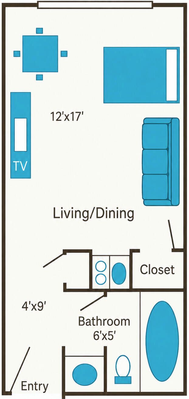 A floor plan with a TV, living/dining area, closet, bathroom, and entry.