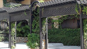 Un'area esterna riparata con parete in pietra e vegetazione, caratterizzata da una struttura a pergola.